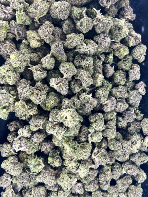 Pink Rockstar Mediums