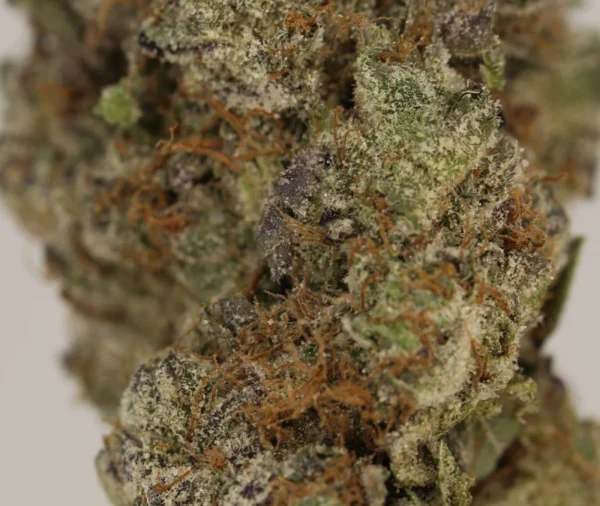Pink Skittlez