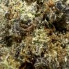 Vanilla Kush