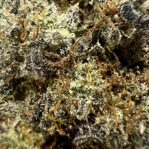 Vanilla Kush