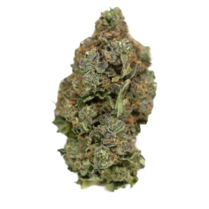 Permanent Marker X Zoup