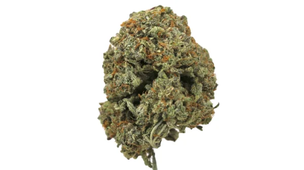 Poison