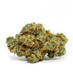 10046 Forbidden Runtz Strain