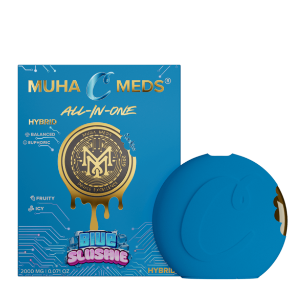 Blue Slushie | All-In-One | 1000MG